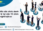 Tìm hiểu các chức danh quản lý tại các Tổ chức hành nghề luật sư (Công ty Luật TNHH/Công ty Luật hợp danh)
