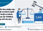 Tìm Hiểu Thu Nhập Của Các Luật Sư Hành Nghề Tại Việt Nam